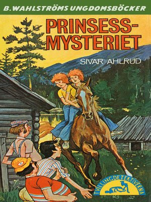 cover image of Tvillingdetektiverna 45--Prinsess-mysteriet